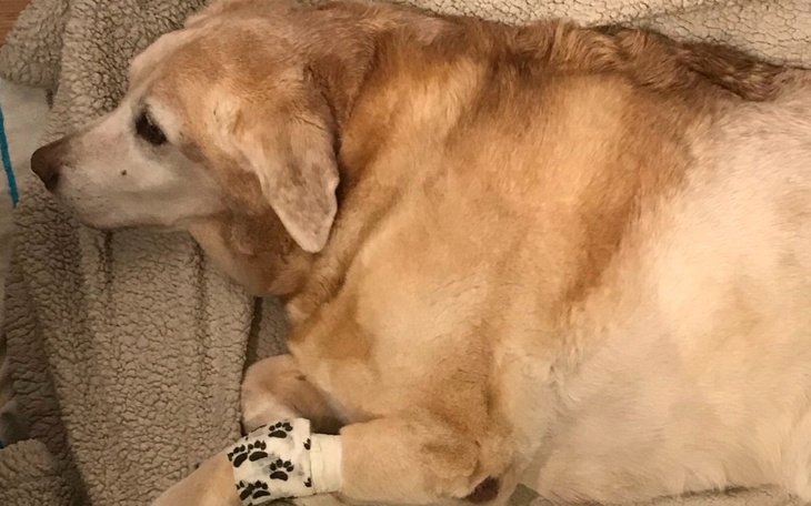 Zbiórka Koszty leczenia po operacji - zdjęcie główne