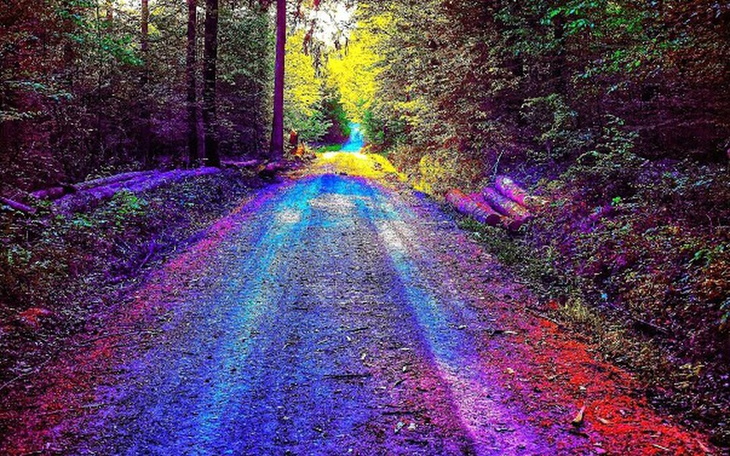 Zbiórka Wymarzone studia I renowacja sam - zdjęcie główne