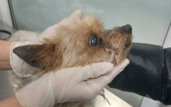 Zbiórka Potraktowana jak śmieć - zdjęcie główne