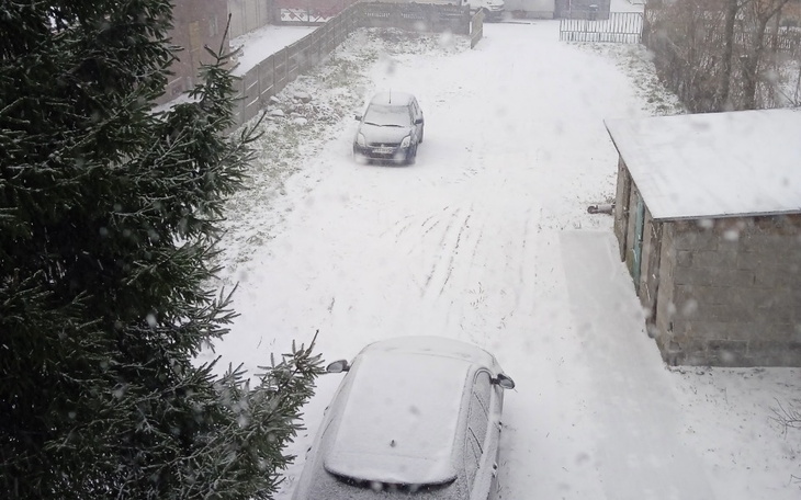 Zbiórka Kocik dla samotnej mamy - zdjęcie główne