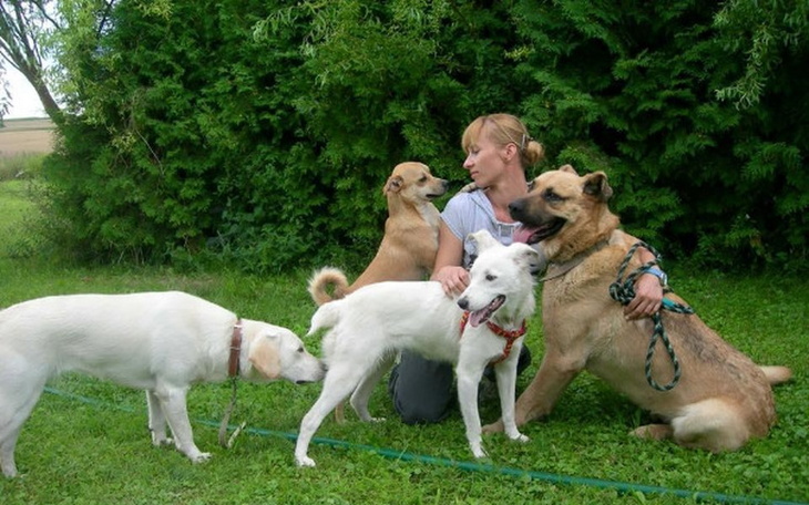 Zbiórka grosik dla skrzywdzonych - zdjęcie główne