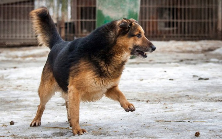 Zbiórka Pilna operacja Konisia - zdjęcie główne