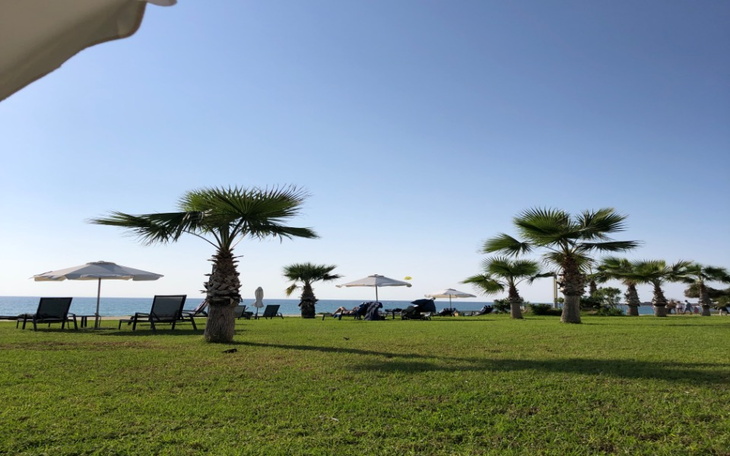 Widok na plażę z palmami i leżakami w słoneczny dzień.