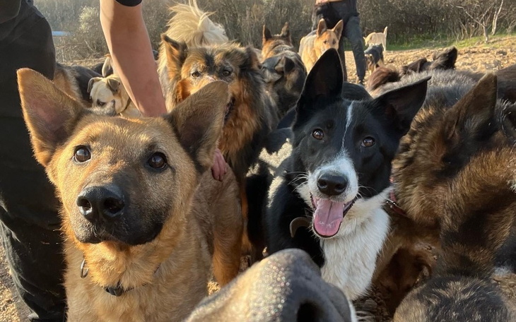 Zbiórka Biegam Pomagam - zdjęcie główne