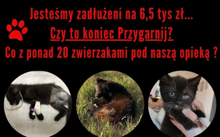 Plakat z informacją o zadłużeniu schroniska dla zwierząt.