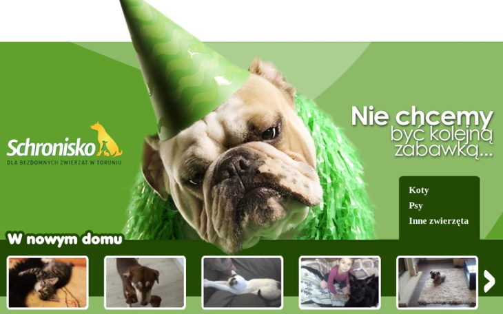 Zbiórka Schronisko Dla Zwierząt Toruń - zdjęcie główne