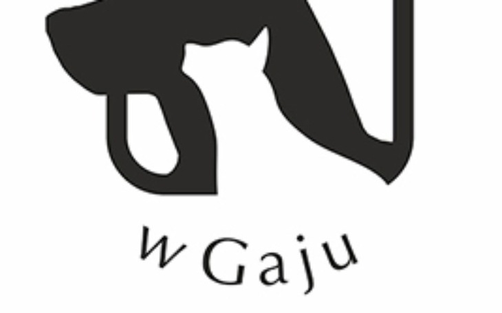 Zbiórka Schronisko Gaj - zdjęcie główne