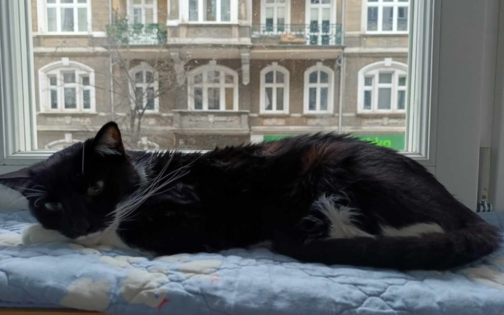 Zbiórka Zbiórka na leczenie Elektry - zdjęcie główne