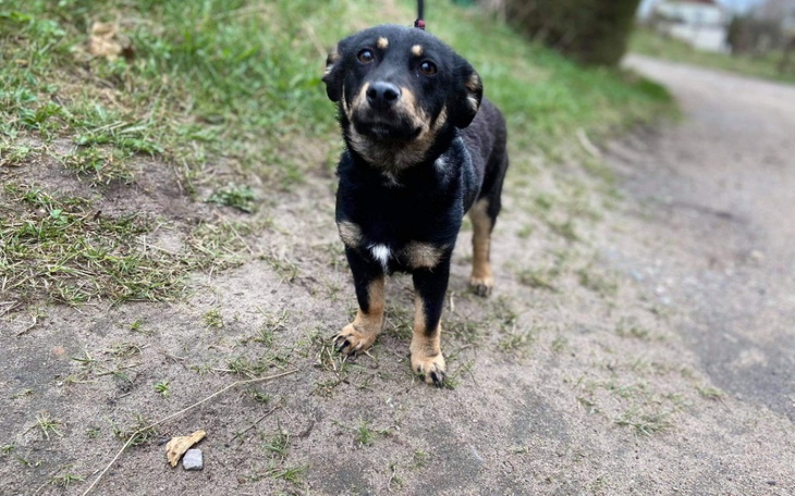 Zbiórka Bajunia w potrzebie - zdjęcie główne