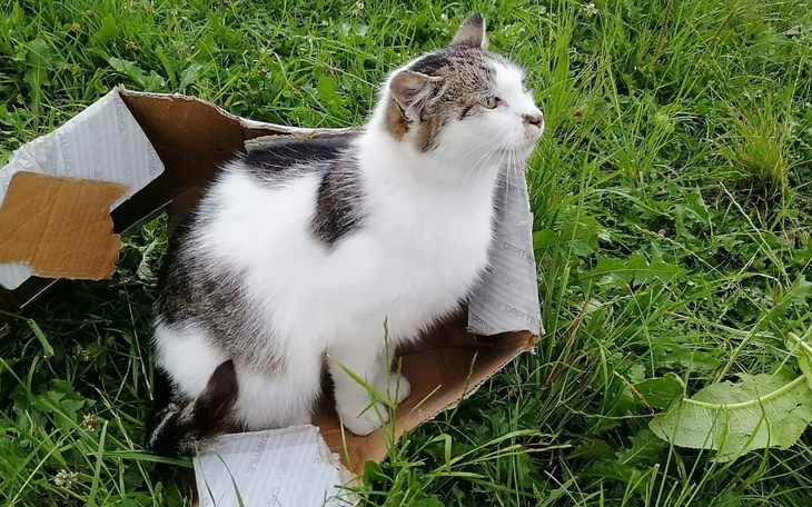 Zbiórka Dla Tekli - zdjęcie główne