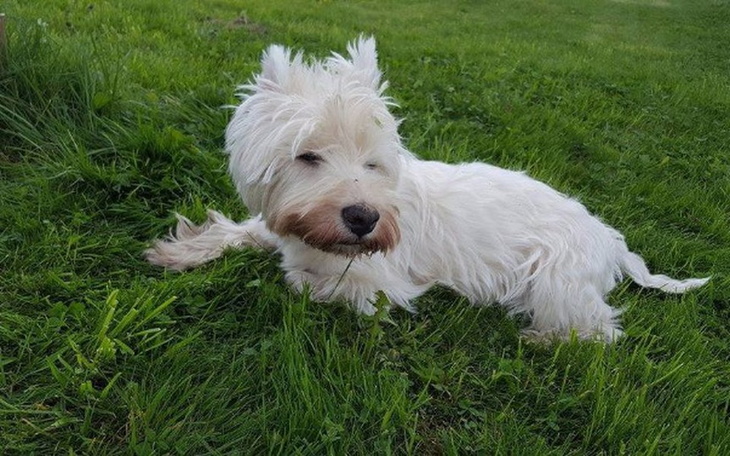 Zbiórka Na nowe oczka dla Antosia - zdjęcie główne