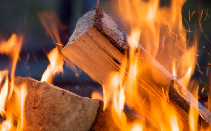 Zbiórka Ogrzejmy Psiakowo - zdjęcie główne