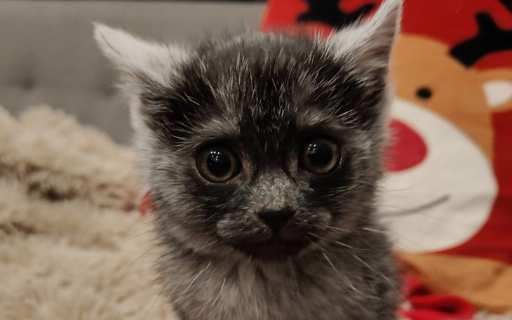 Zbiórka Nasze życie... - zdjęcie główne