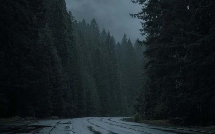 Mroczny las z mokrą drogą, otoczony wysokimi drzewami.