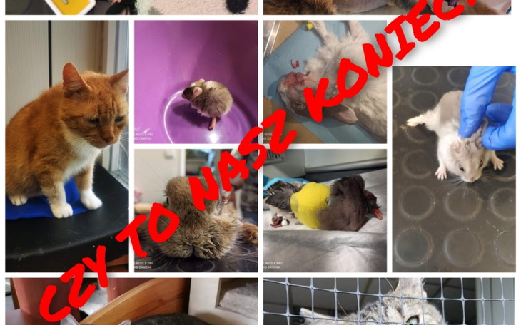 Zbiórka Koniec Czas zamykać - zdjęcie główne