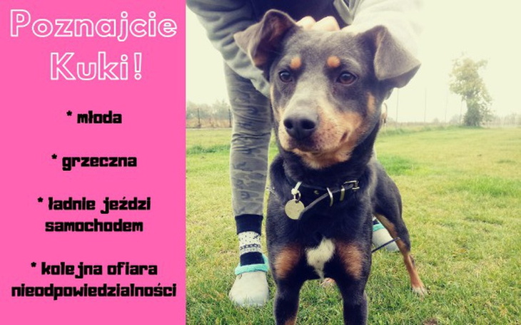 Zbiórka Włącz odpowiedzialność - Kuki - zdjęcie główne