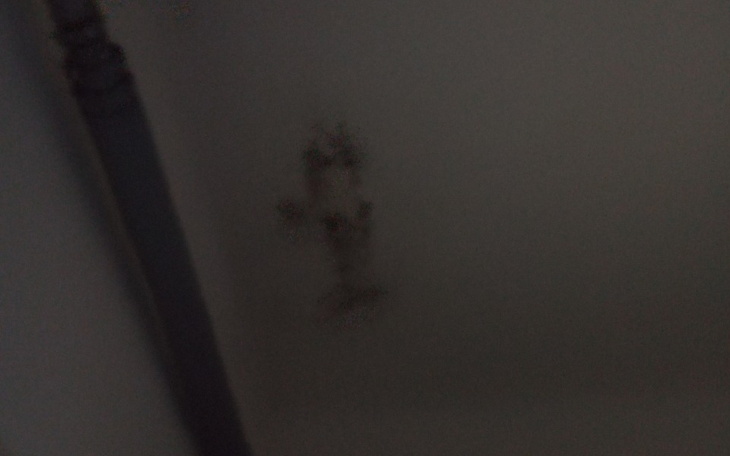 Zbiórka papier i usunięcie pleśni w sp24 - zdjęcie główne