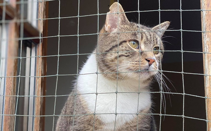 Zbiórka Sto lat dla Wioli - zdjęcie główne