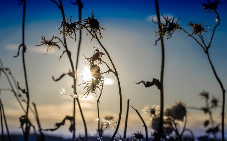 Zbiórka Aparat Foto - zdjęcie główne