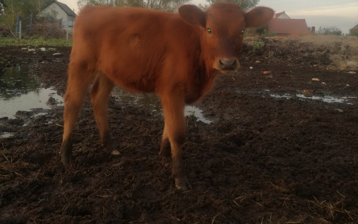 Zbiórka Chcemy by cieszyła się życiem. - zdjęcie główne