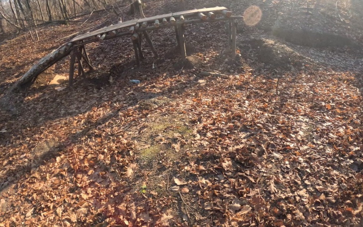 Mostek w lesie, otoczony opadłymi liśćmi.