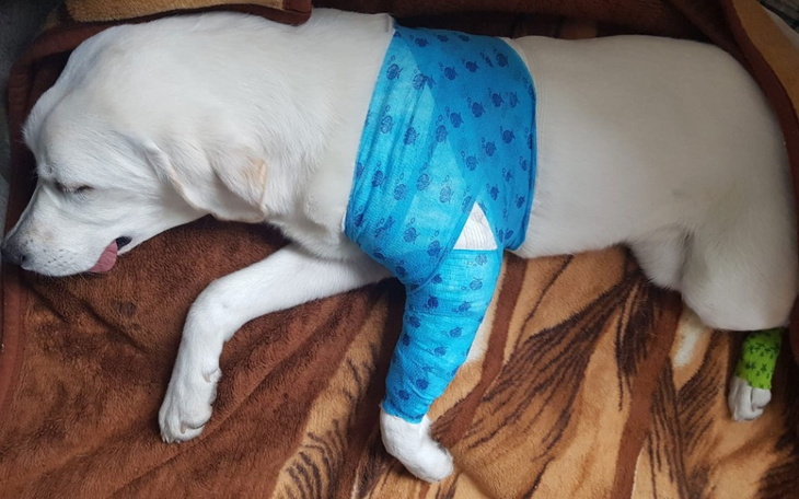 Zbiórka Operacja na wagę złota - zdjęcie główne