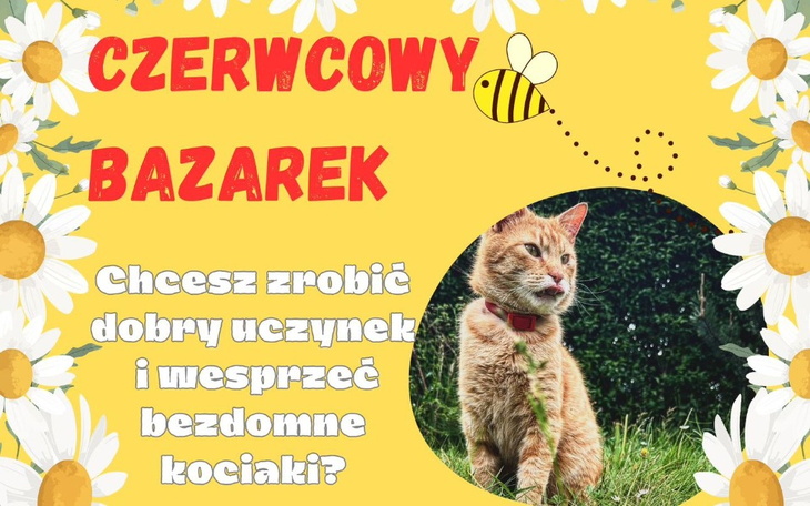 Zbiórka Czerwcowy Bazarek - zdjęcie główne
