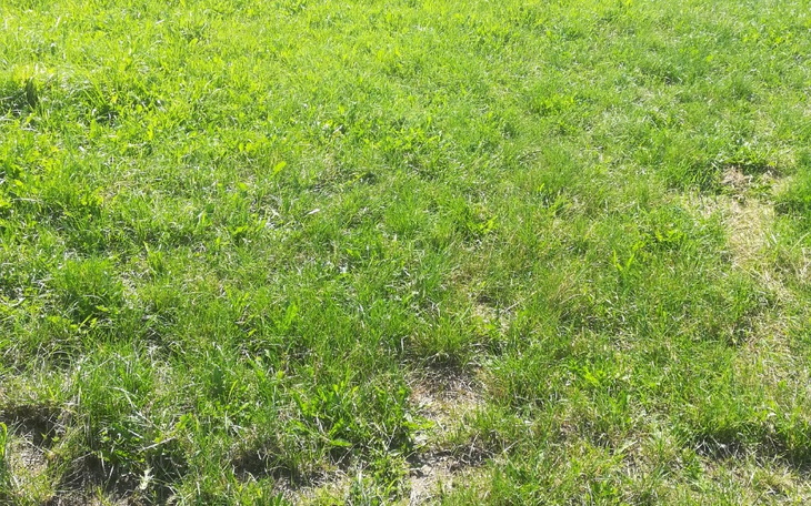 Zbiórka Na pszedszkole - zdjęcie główne