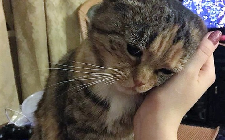 Zbiórka June zbiera na operację ząbków.. - zdjęcie główne