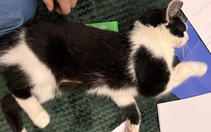 Zbiórka Transfuzja krwi dla bezdomniaka - zdjęcie główne