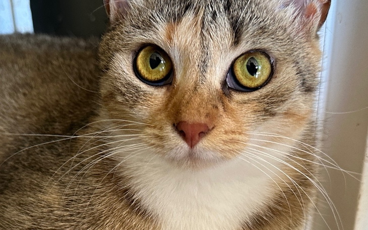 Zbiórka Na przetrwanie września 2024 - zdjęcie główne