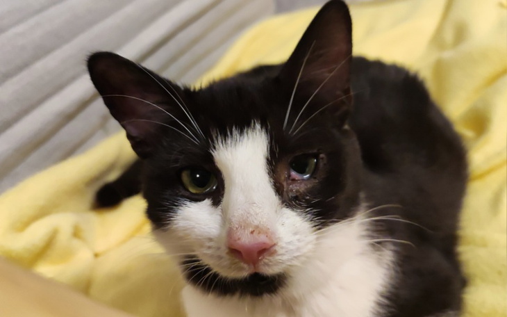 Zbiórka Diagnostyka Cili - zdjęcie główne