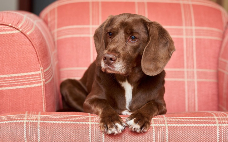 Zbiórka Diagnostyka Morisa - zdjęcie główne