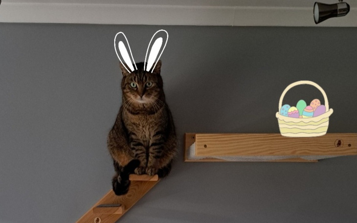 Zbiórka Wielkanoc w Przybij piątkę - zdjęcie główne