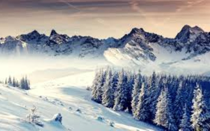 Zbiórka Wyjazd na narty w góry - zdjęcie główne