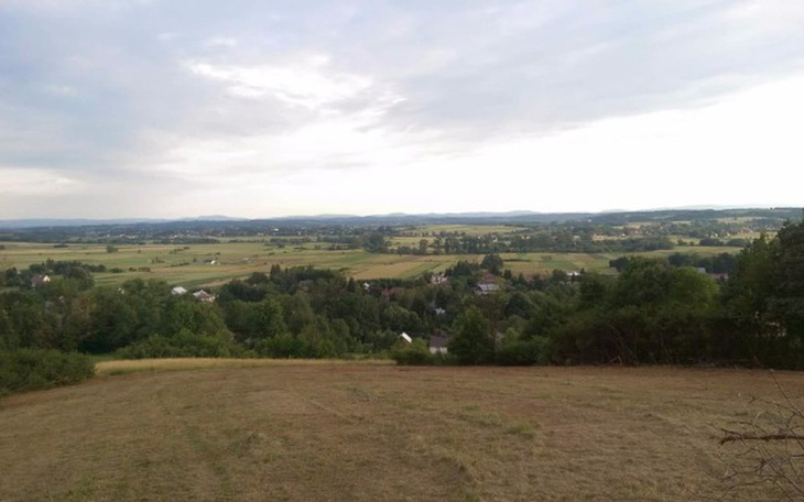 Zbiórka Zbudujmy raj dla niechcianych - zdjęcie główne