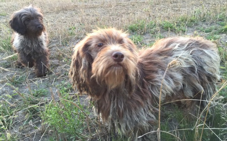 Zbiórka Wyrzucone z samochodu w lesie - zdjęcie główne