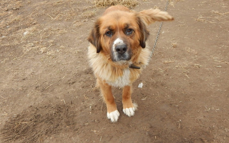 Zbiórka Leczenie dla Rity - zdjęcie główne