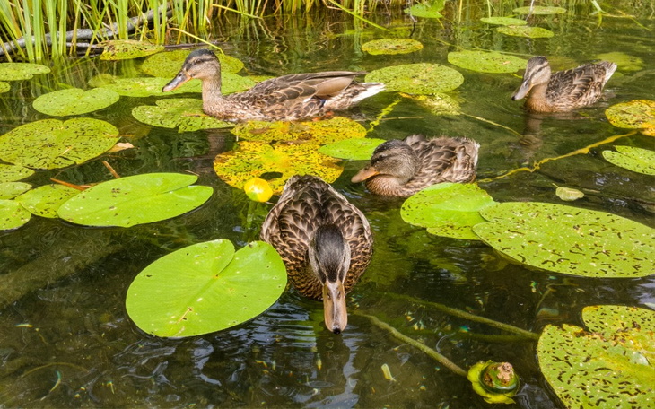 Zbiórka Oddłużenie jednej rodziny - zdjęcie główne