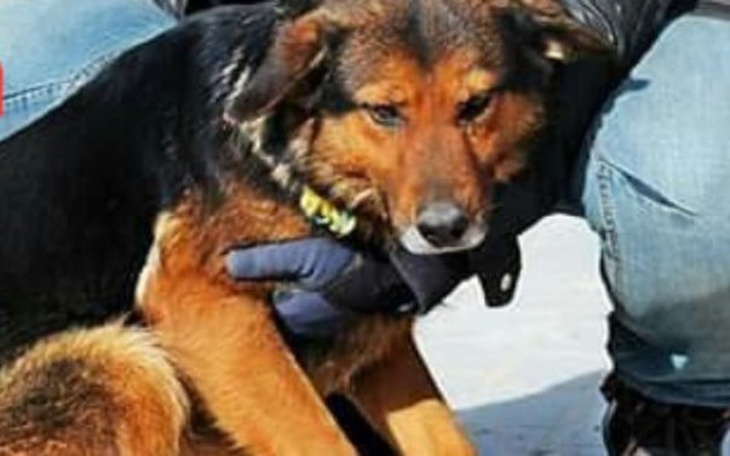 Zbiórka Ratujmy ja z Radys! - zdjęcie główne