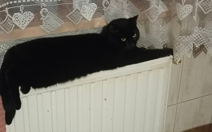 Zbiórka Spłata zadłużenia w Tauron - zdjęcie główne