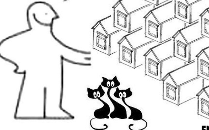 Zbiórka Budki dla wolnożyjących kotów - zdjęcie główne