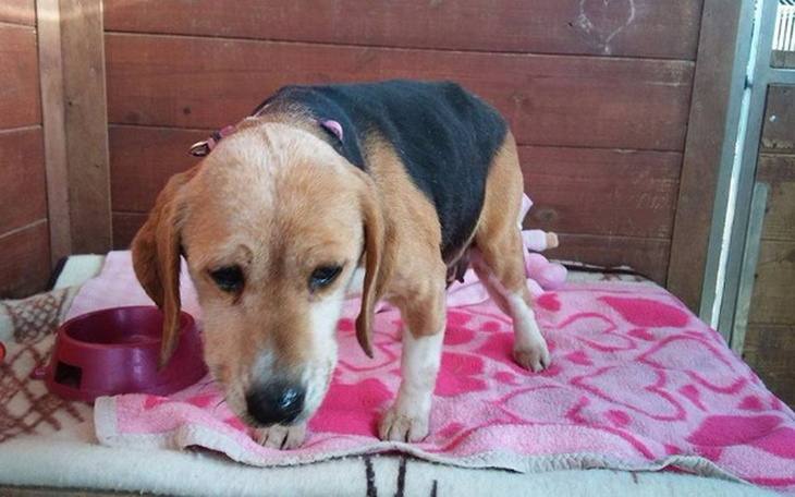 Zbiórka Barbie potrzebuje zaufać - zdjęcie główne