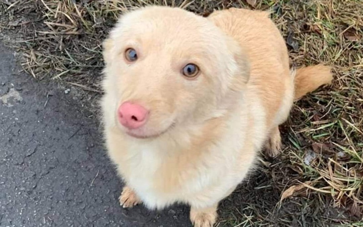 Zbiórka Podróż po lepsze życie.... - zdjęcie główne