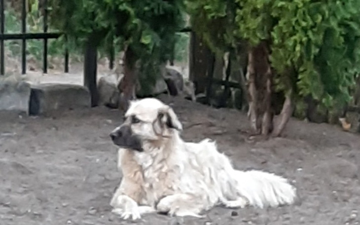 Zbiórka Na dokończenie remontu.Pilne!!! - zdjęcie główne