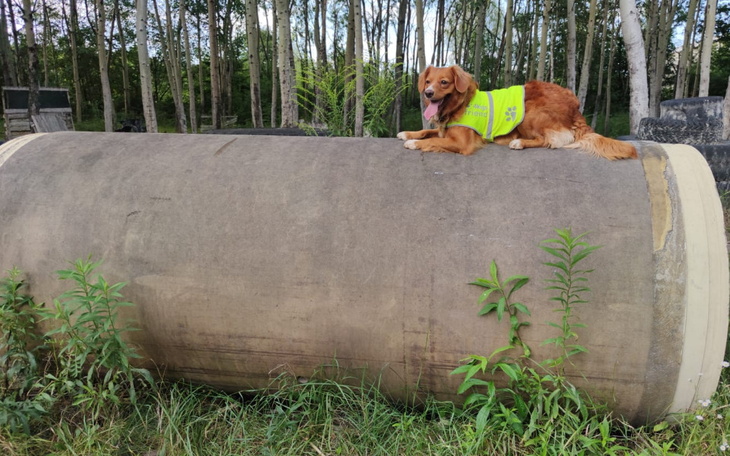 Zbiórka Ty dla nas, my dla Ciebie - zdjęcie główne