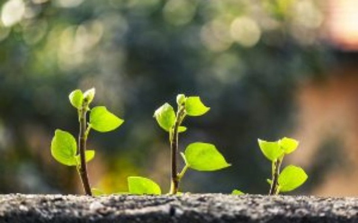 Zbiórka Zbiórka funduszy na nowe życie. - zdjęcie główne