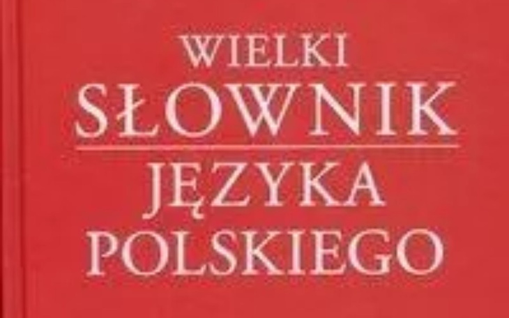 Zbiórka Na słownik dla polisha - zdjęcie główne