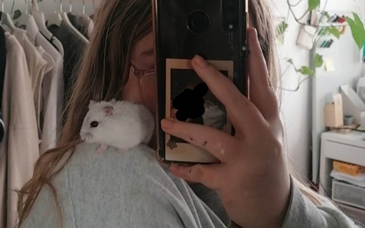 Zbiórka opieka weterynaryjna dla Nuggeta - zdjęcie główne