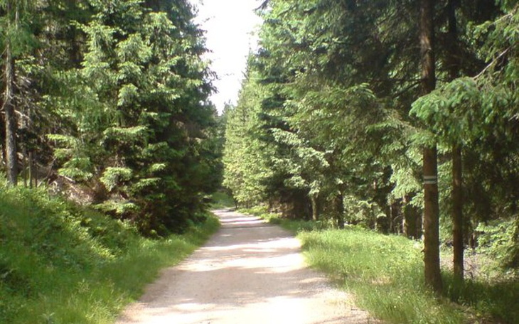 Zbiórka zbieram na mieszkanie - zdjęcie główne